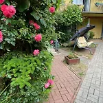Bel